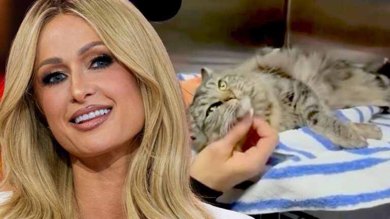 Paris Hilton Helps Reunite L.A. Wildfire Victims