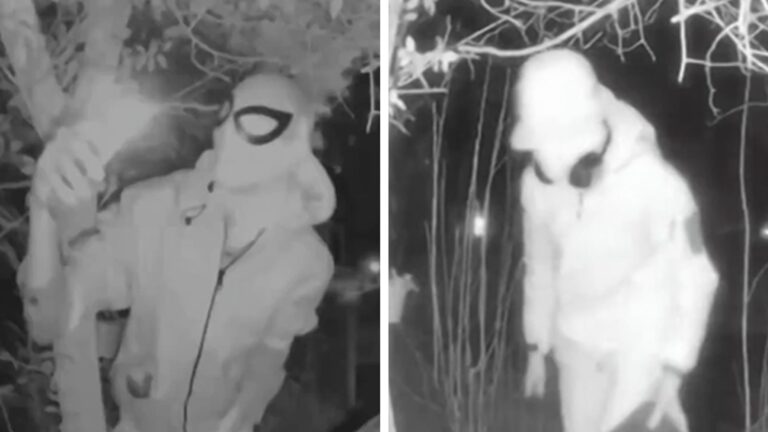 Spider-Man Suspect Stalking Victim With Package