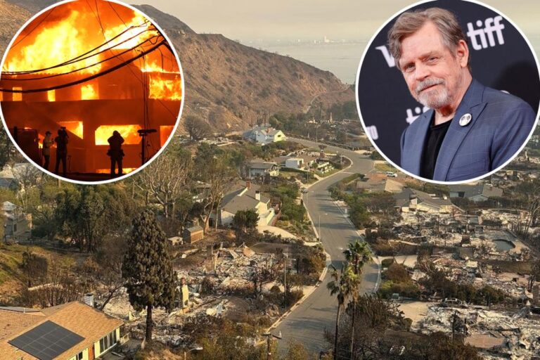 Mark Hamill’s Malibu house survives Palisades Fire | Gossip Wire