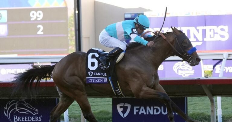 Citizen Bull, National Treasure win at Eclipse