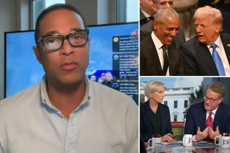 Don Lemon launches profanity-laced rant against