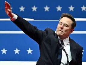 Elon Musk uses Taylor Swift to shield