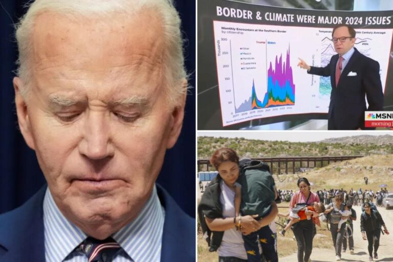 MSNBC analyst admits Biden immigration policy 'not