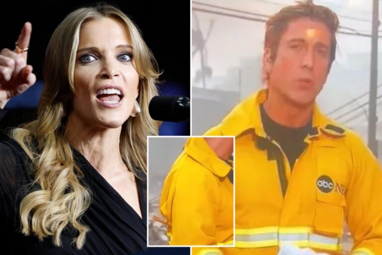 Megyn Kelly slams ABC's David Muir for 'playing