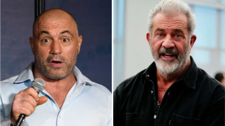 Mel Gibson's LA home burned down during