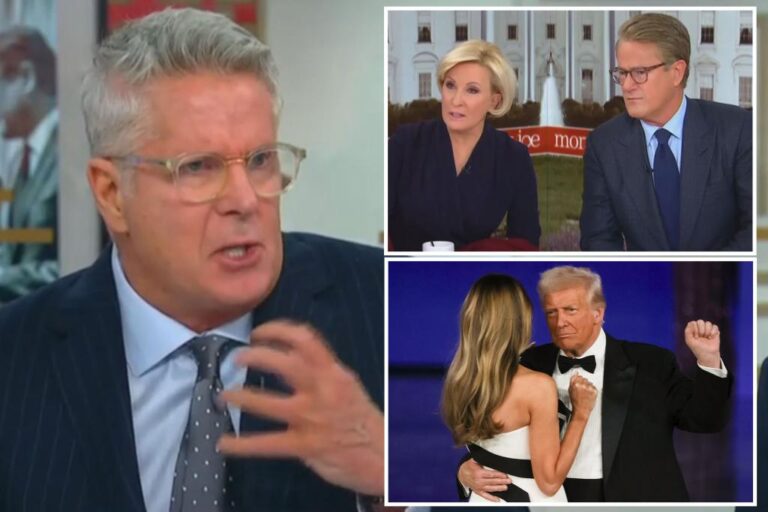 'Morning Joe' hosts have meltdown after guest says