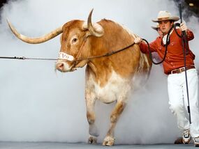 PETA makes Cotton Bowl demand to Texas and SEC as