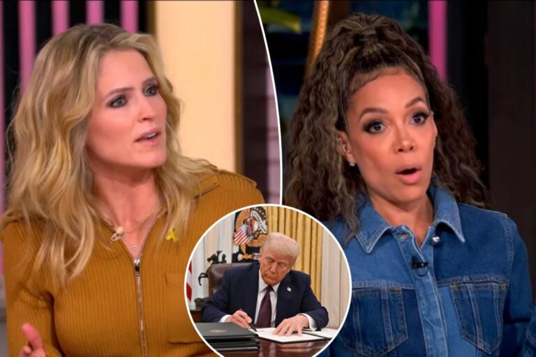 'The View' fumes Trump is helping racists with DEI