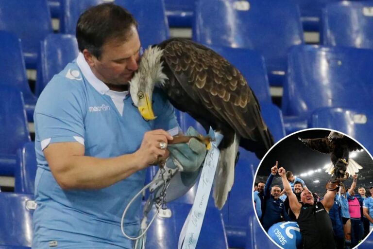 Lazio fires falconer Juan Bernabe for penis photos | Sports News