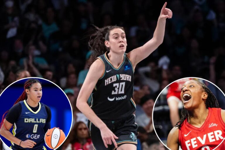 The top 2025 WNBA free agents as execs woo | Sports News