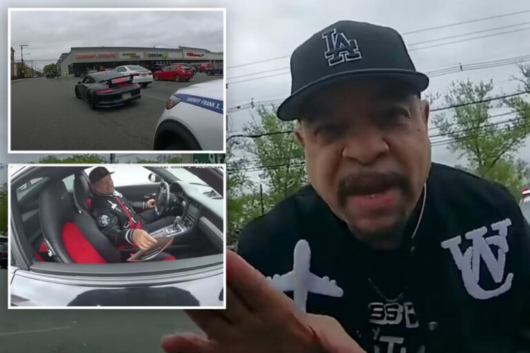 Ice-T calls cop a ‘f–king a–hole’ during tense | Gossip Wire