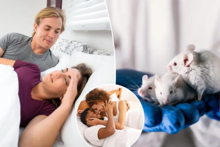 Low sex drive? This diet boosted libido in mice