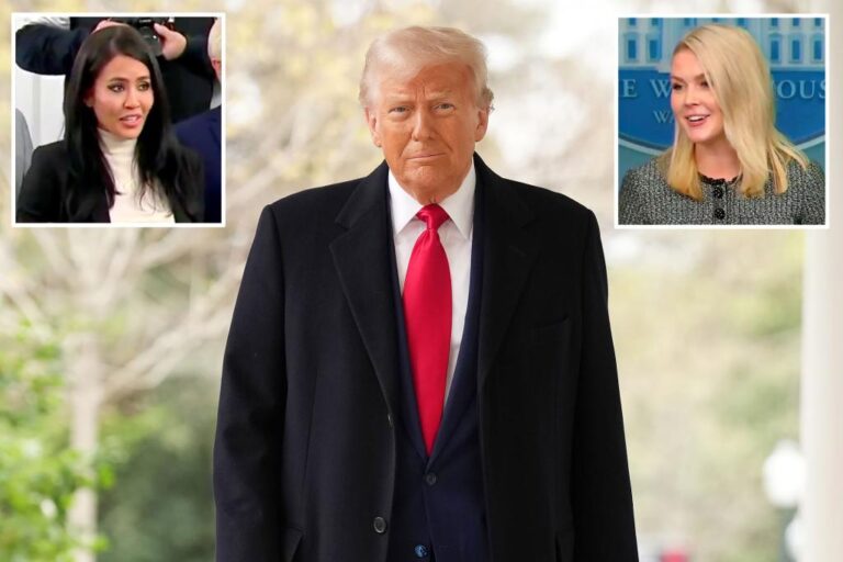 White House reporter mocked for asking about