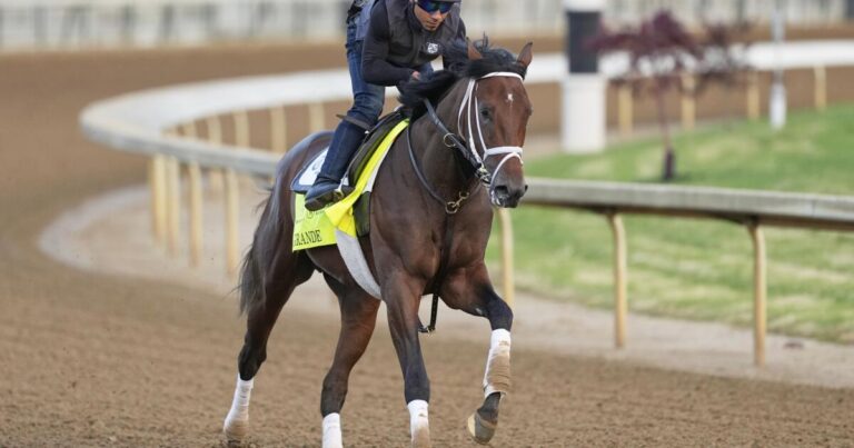 Todd Pletcher-trained Grande scratched from