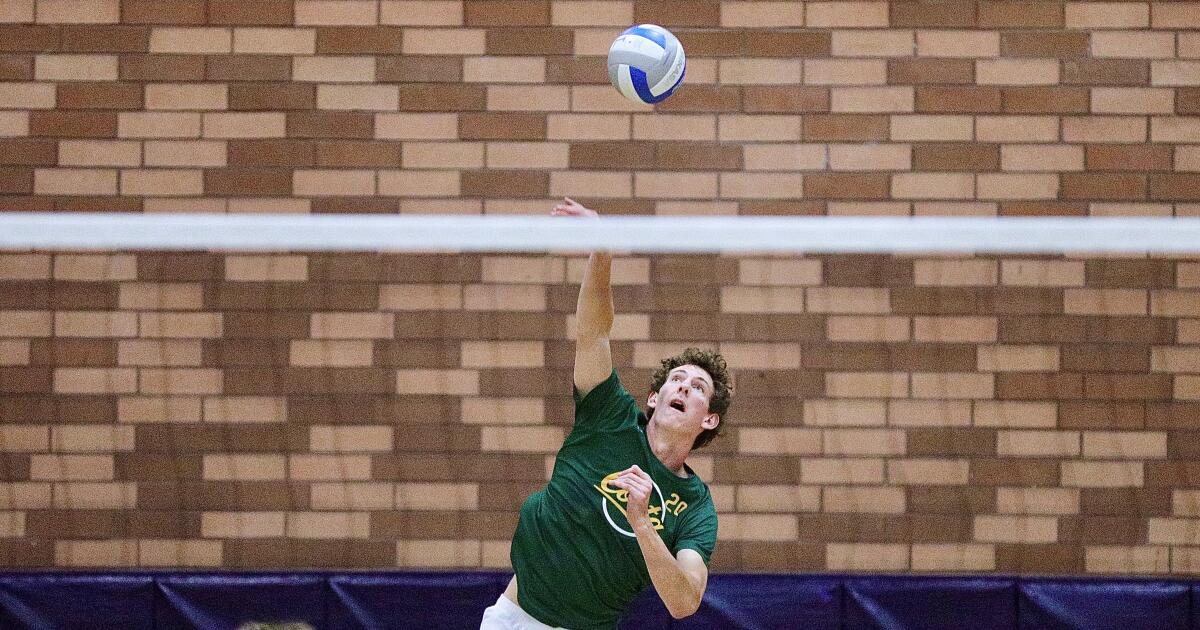 Bradford family: Giants in height and volleyball | College News