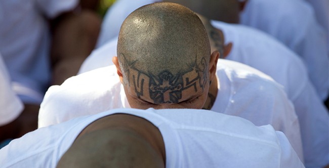 DHS Invites You to 'Meet' the Detainees That NJ | Political News