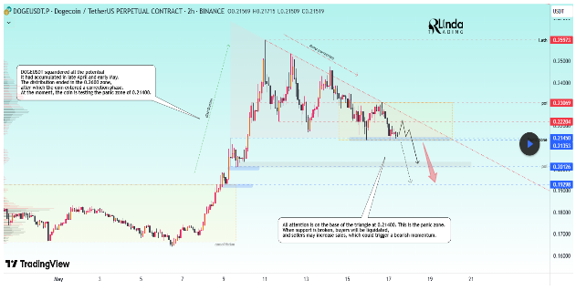 Dogecoin Price Tests Panic Zone At $0.21, | Crypto News