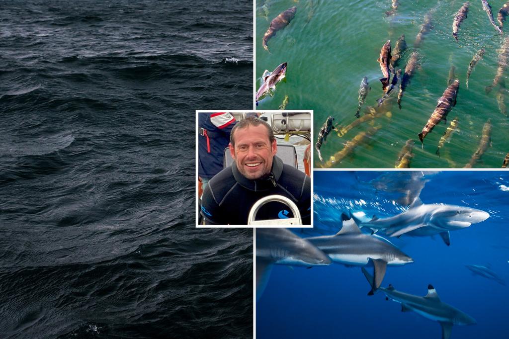 Earth's oceans are growing darker, threatening | Lifestyle News