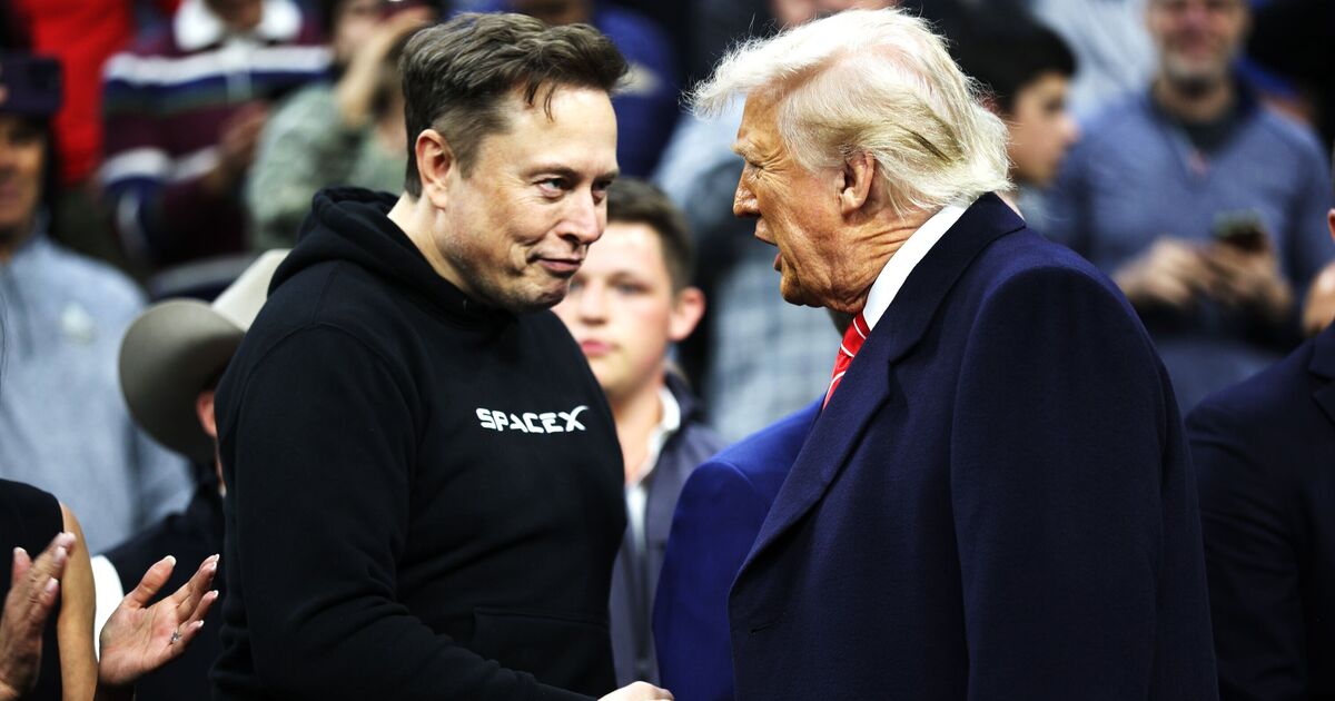 Elon Musk's true feelings on Donald Trump exposed by | UK News