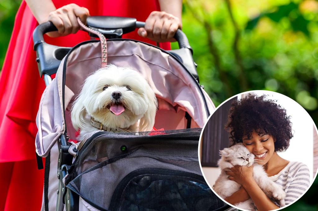 Half of Gen Z see their pets as actual children, | Lifestyle News