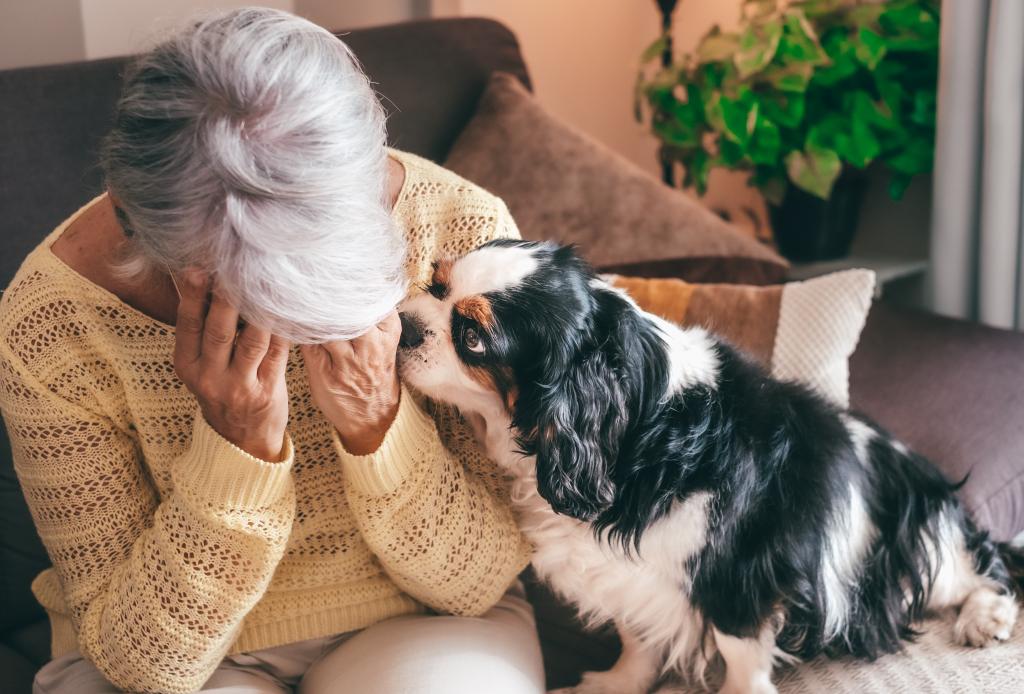 I'm in love with the much younger man I dog sit | Lifestyle News