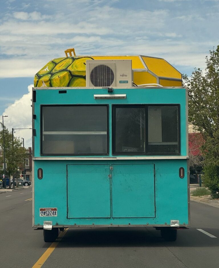 Is SpongeBob Really Moving Or Just A Viral Joke | Gossip Wire News