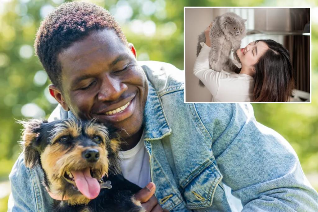 Most people prefer to de-stress with pets over | Lifestyle News