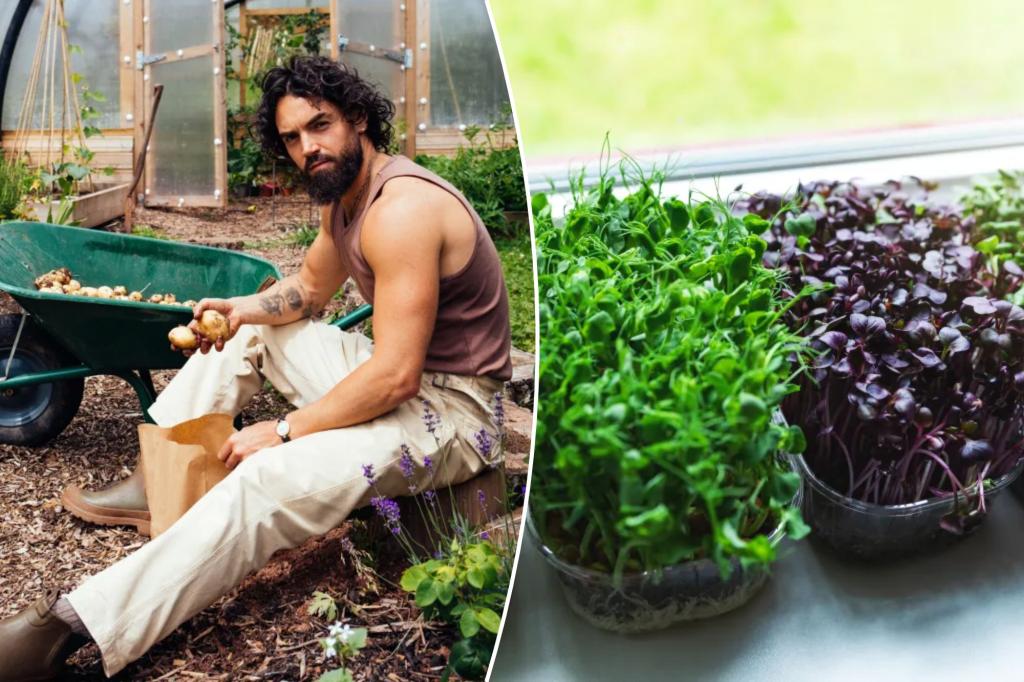 3 healthy foods you can grow at home — even | Lifestyle News