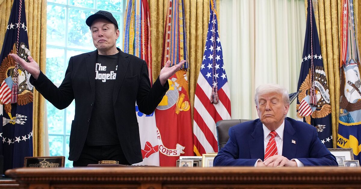 'Butthurt' Musk pleaded with Trump over fears | Political News