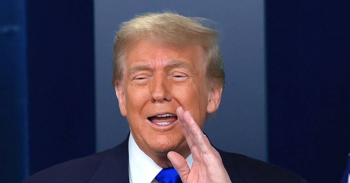 CNN host drops bombshell - and it's good news for | TV Shows