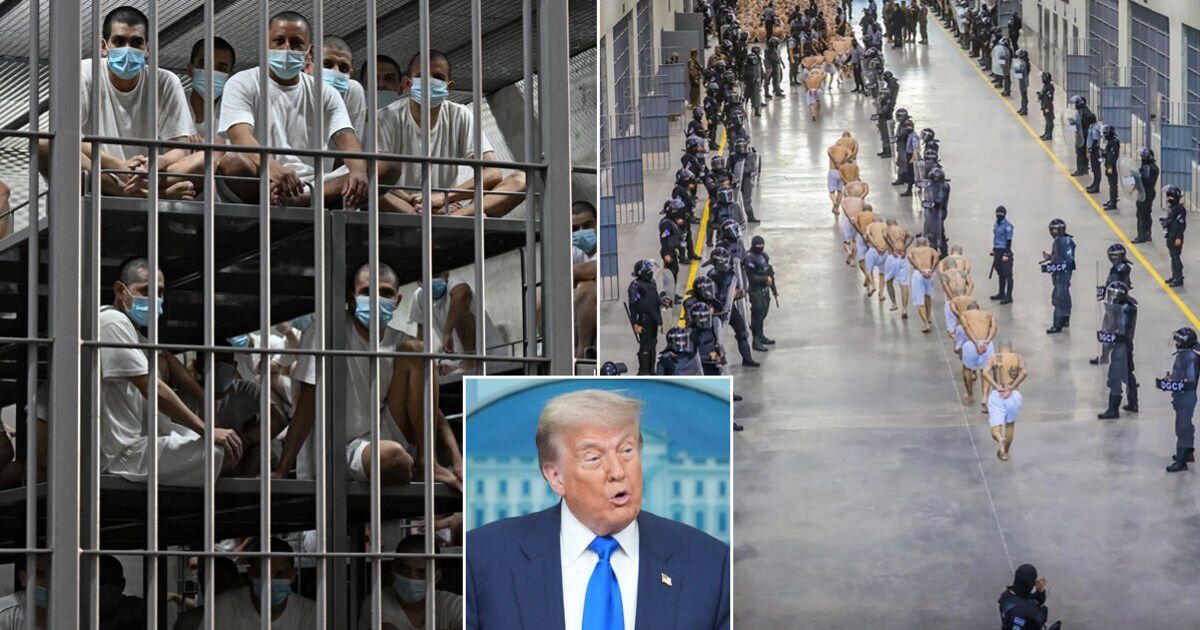 Donald Trump reveals how El Salvador mega-jail is | Political News