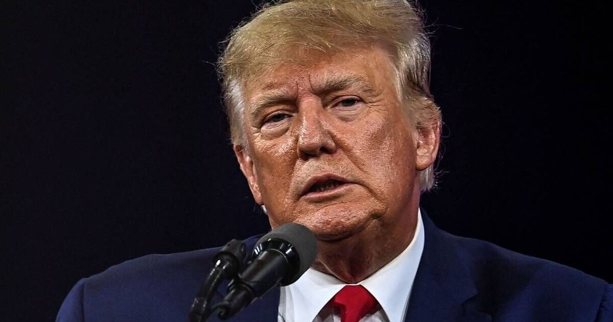 Donald Trump selling 'Daddy' shirt with his face - | Political News