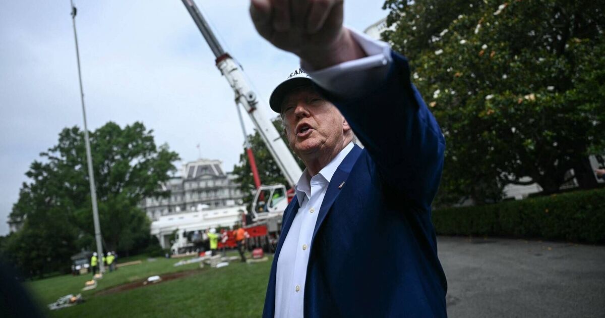 Donald Trump with 'revolting' Harvey Weinstein | Political News