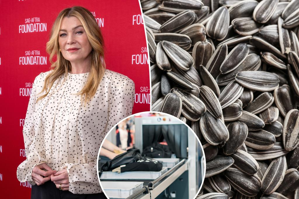 Ellen Pompeo was stopped at TSA for fancy | Gossip Wire