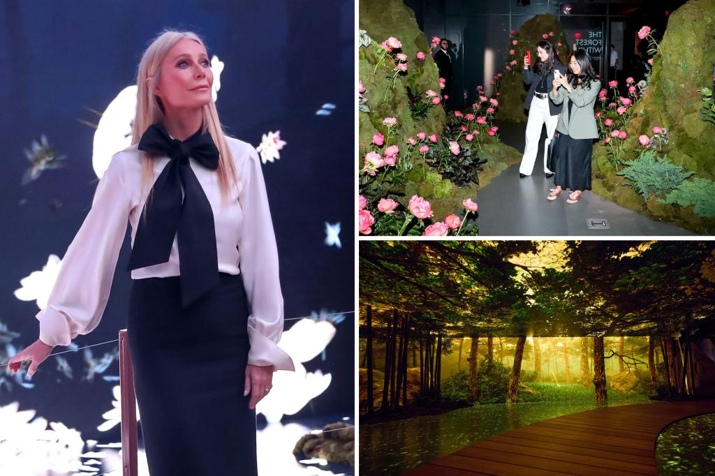 Gwyneth Paltrow slammed for lackluster 'immersive' | Gossip Wire