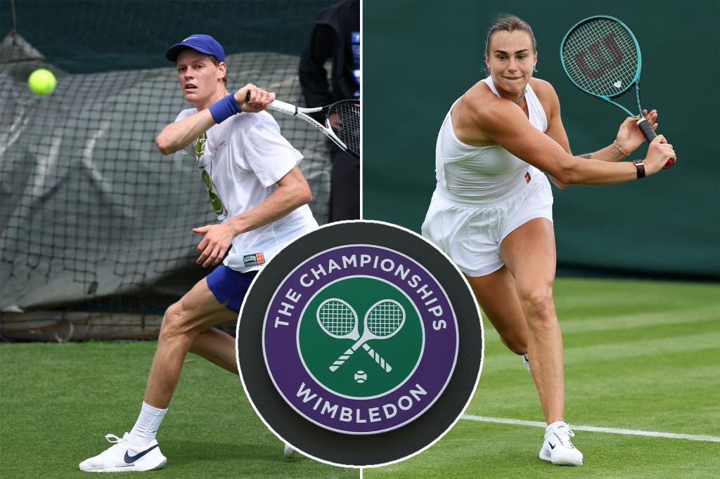 How to watch Wimbledon 2025 for free: Schedule, | Sports News