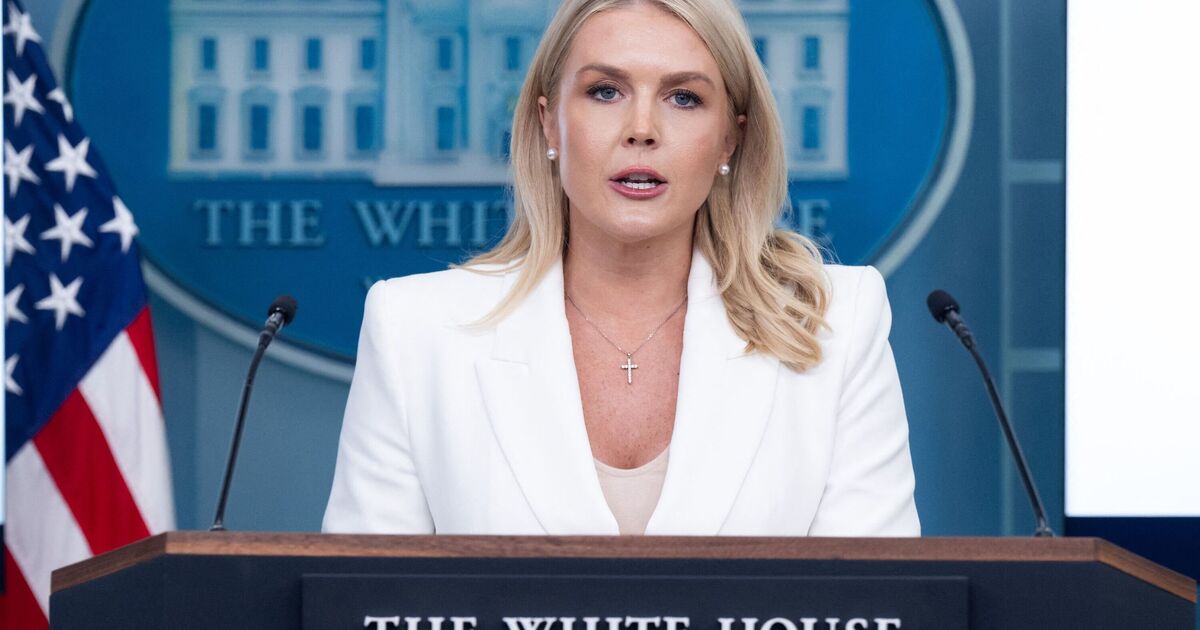 Karoline Leavitt says CNN reporter 'should be | Political News