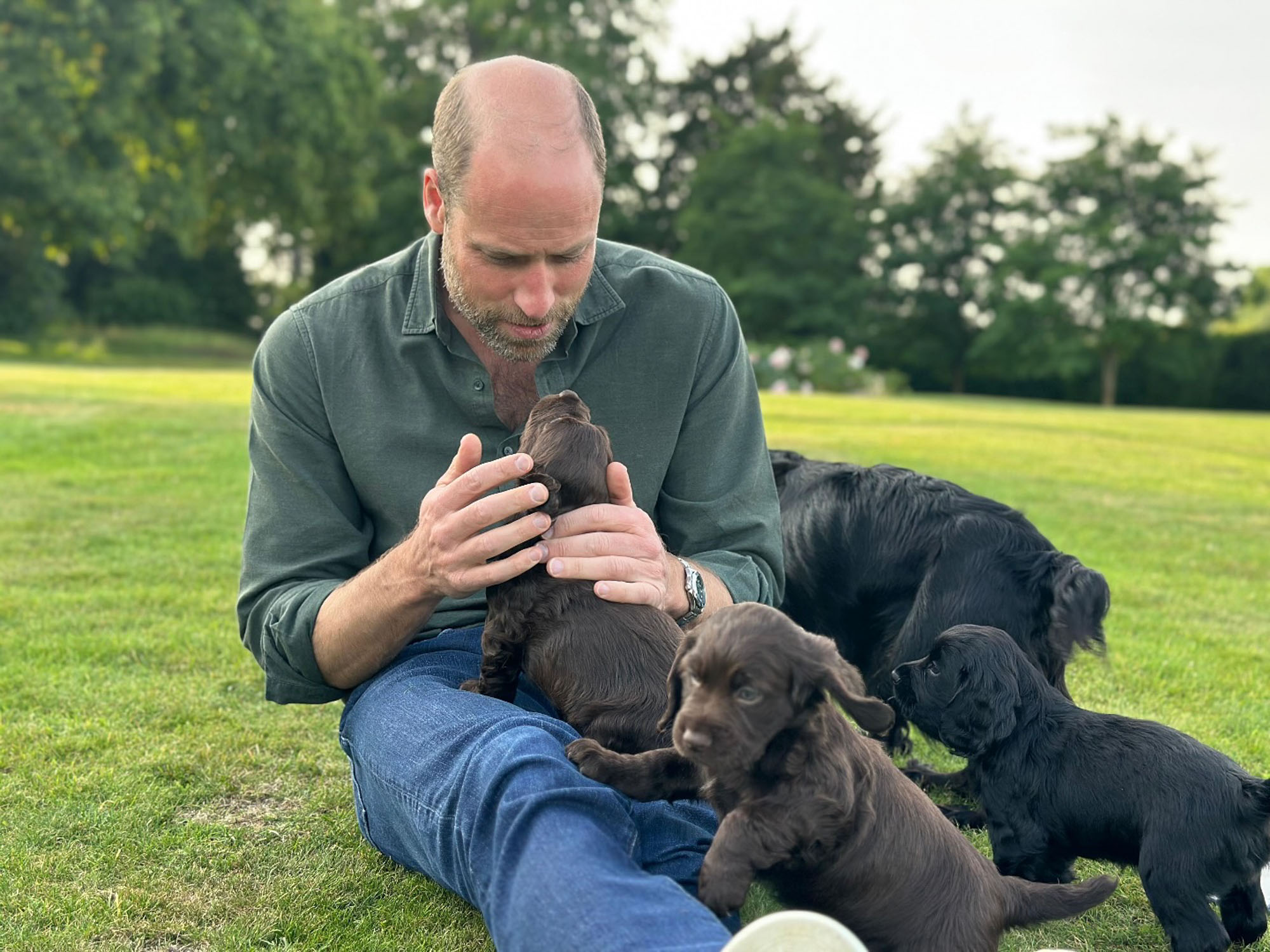 Kate Middleton shares sweet photo of Prince William surrounded by puppies to celebrate his 43rd birthday | Gossip Wire