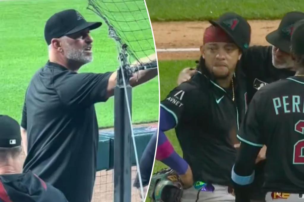 New video shows Diamondbacks manager confronting | Sports News