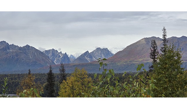Now Will There Be Foot Traffic From Alaska to | Political News