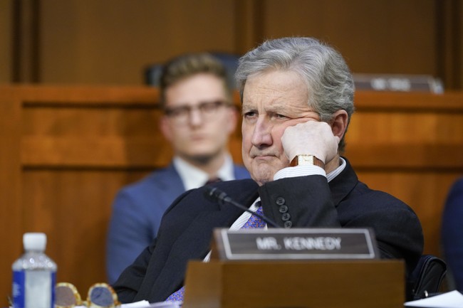 Sen. Kennedy's Brutal Takedown of Dem Witness | Political News