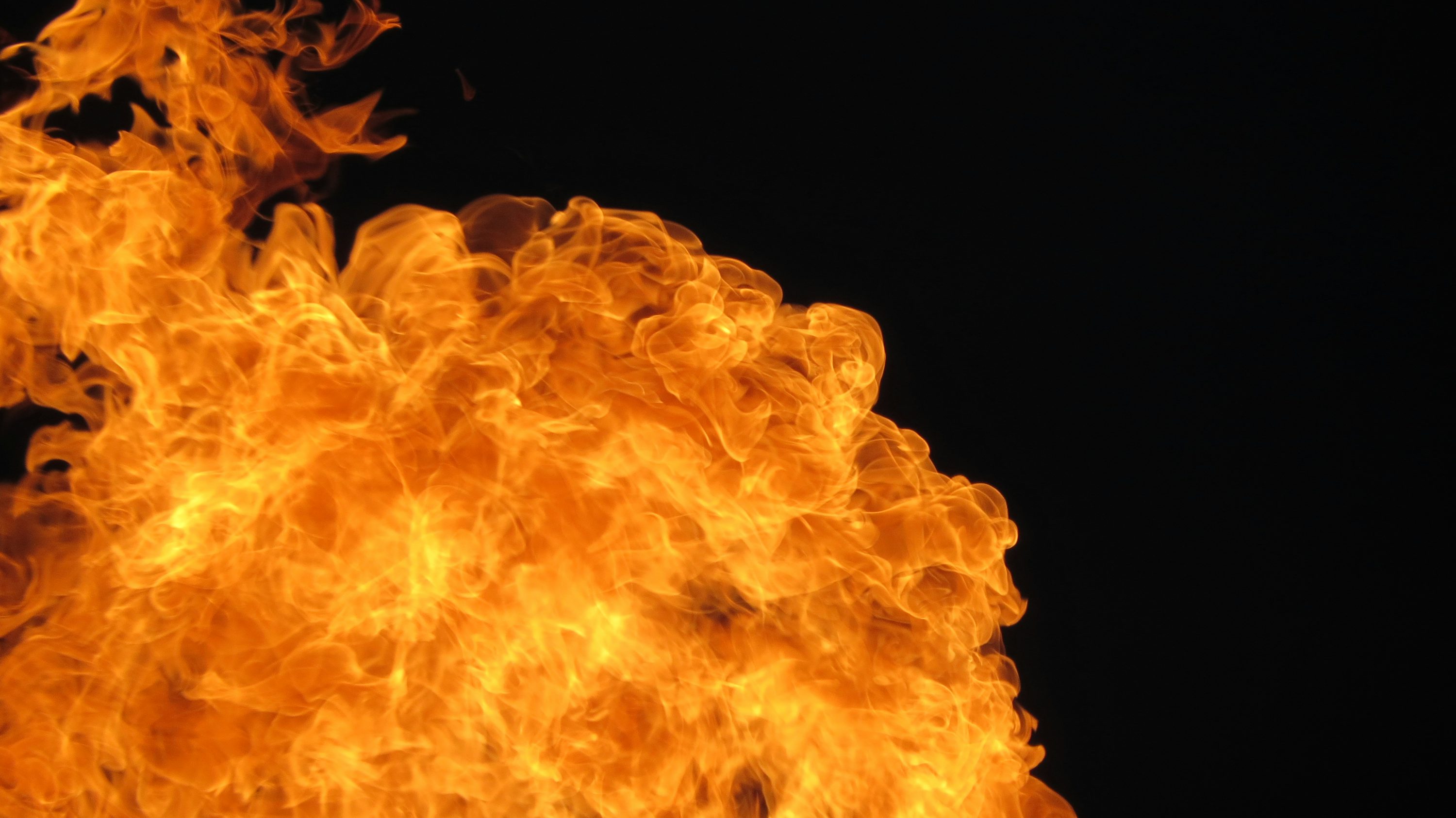 Shiba Inu Burn Explodes 3,194%: Can It Change The | Crypto News