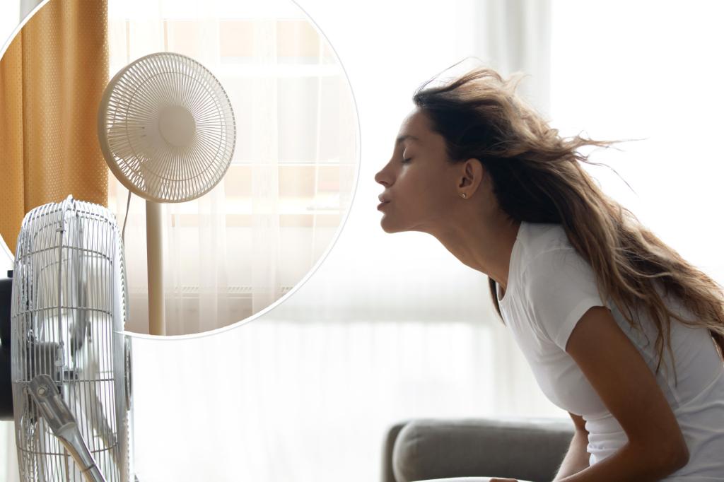Simple fan hack will cool you down with NYC | Lifestyle News