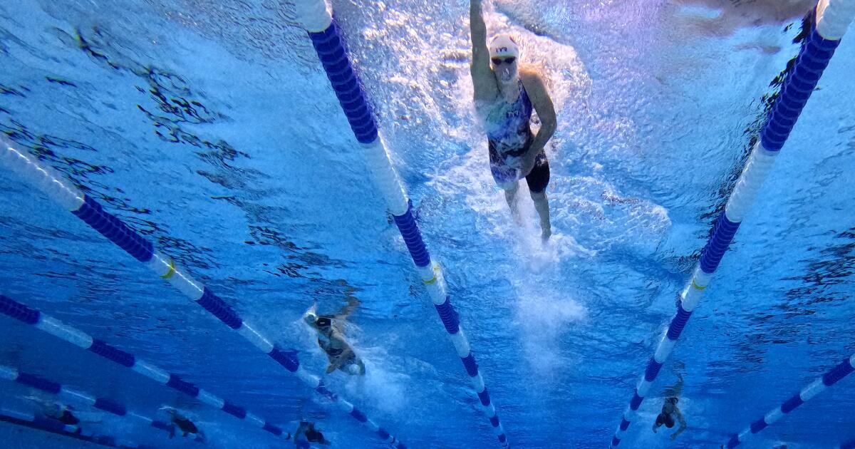 The Enhanced Games push PEDs, target world records | College News