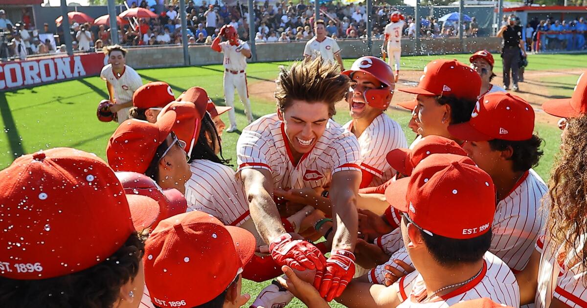 The Times' baseball player of the year: Seth | College News