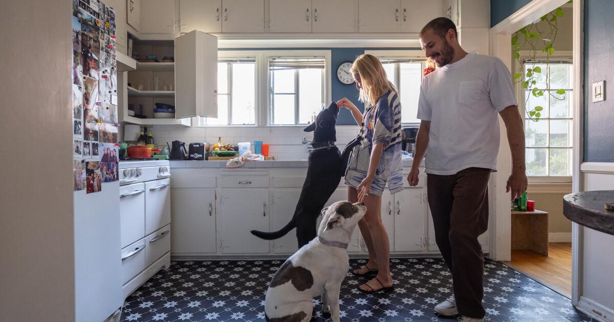 A couple transform their apartment with art and | Real Estate news