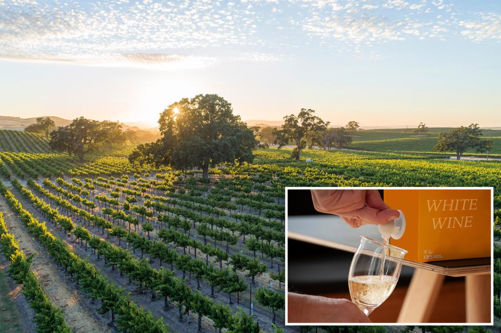 Boxed wine can be better — and cheaper — than some | Lifestyle News