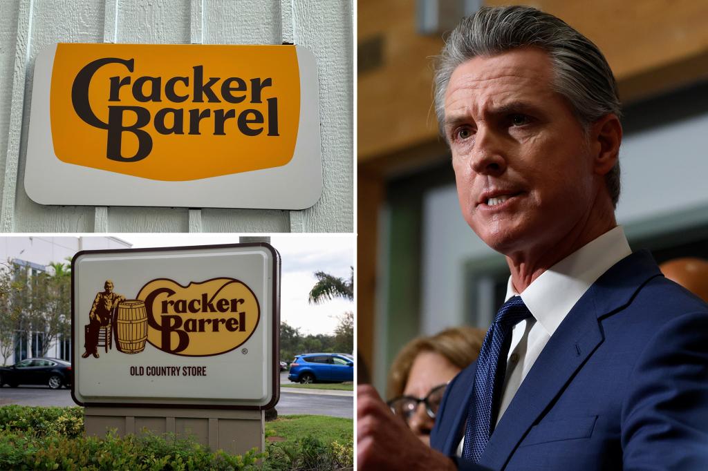Dems, Gavin Newsom roast new 'cheap' Cracker | Gossip Wire