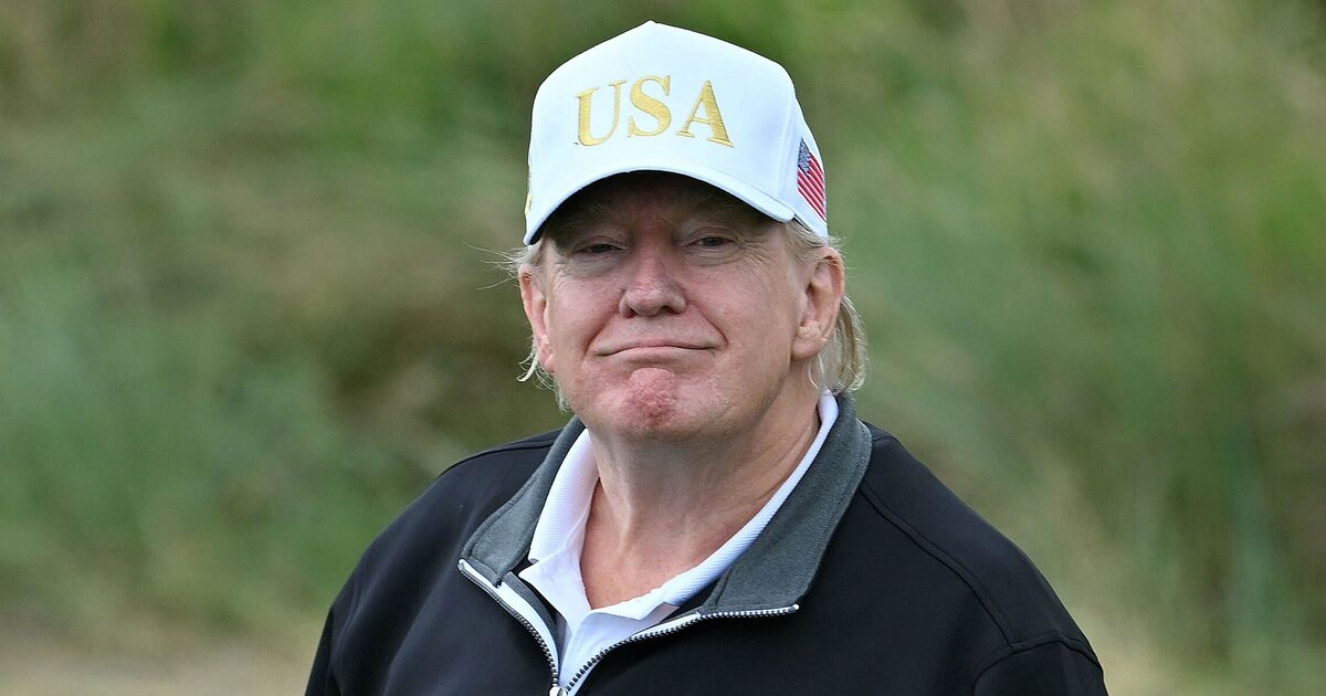 Fox News host strokes Trump's ego as he gushes 'I | TV Shows