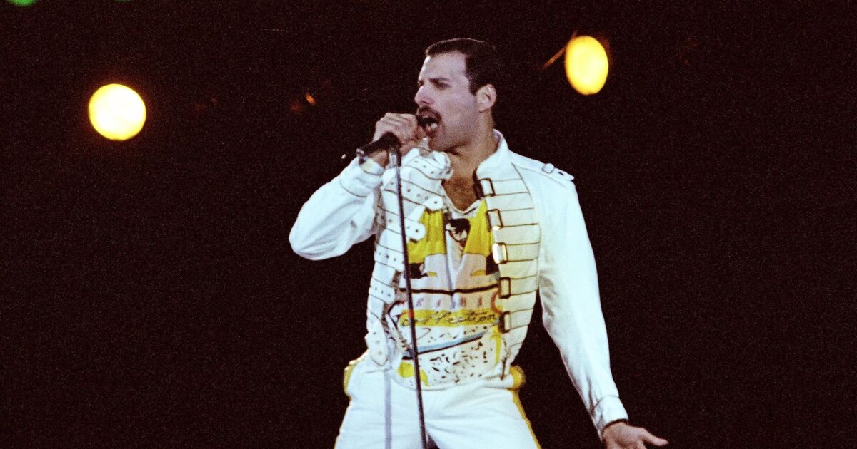 Freddie Mercury's 'secret daughter' says small detail | UK News